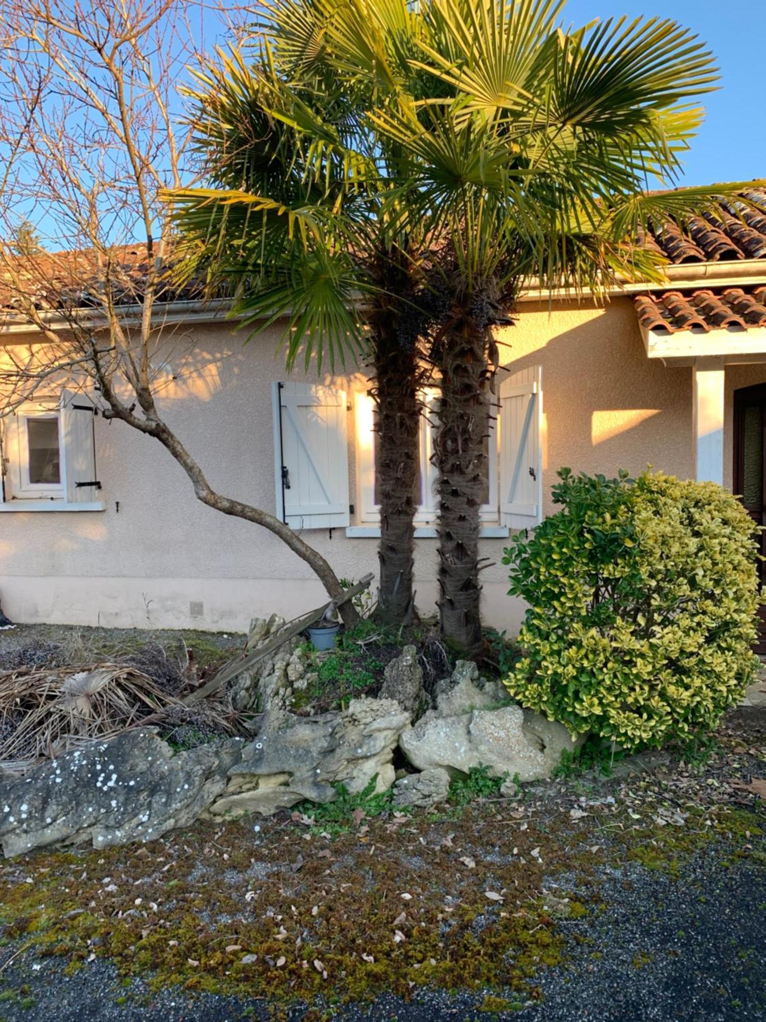 Petite Maison Dans Un Village Du Gers Sabazan Eksteriør bilde